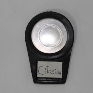 CITOSINA FILTRO