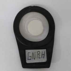 GN-RH (LH-RN) FILTRO