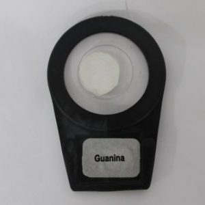 GUANINA FILTRO