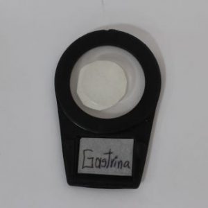 PEPTIDO LIBERADOR DE GASTRINA FILT.
