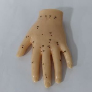 MODELO DE MANO CON PUNTOS REFLEXOLOGIA 1 UND